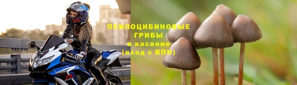 тгк Баксан